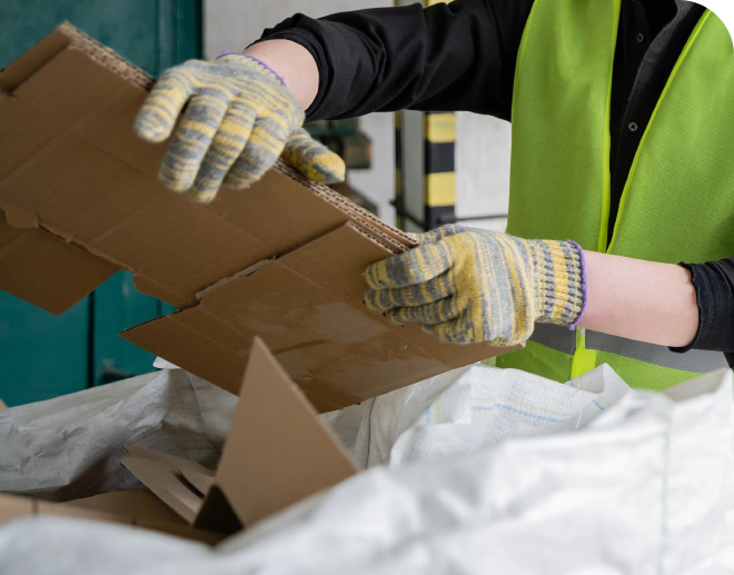 Sustainability in Logistics Is Evolving